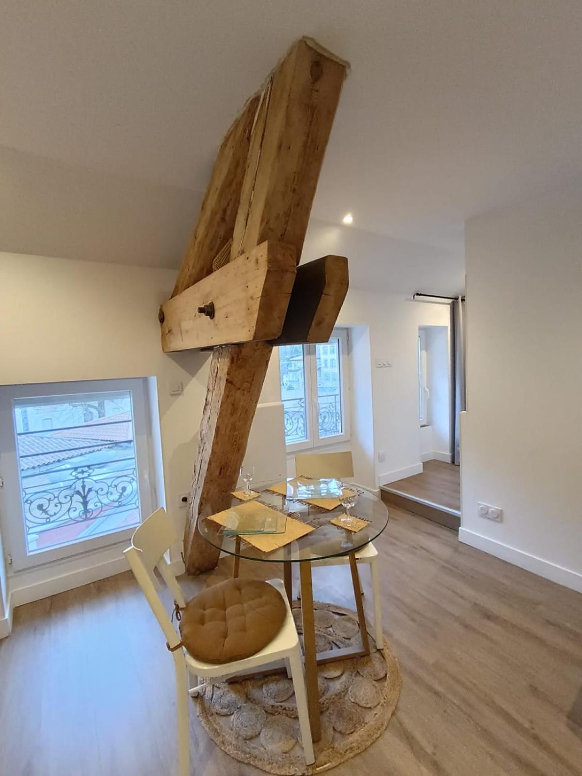 Apartament Cosylocation - Cocooning- Vue Theatre Antique Vienne  Zewnętrze zdjęcie